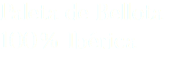 Paleta de Bellota 100% Ibérica