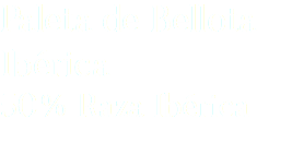Paleta de Bellota Ibérica 50% Raza Ibérica